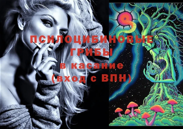 мдма Новозыбков