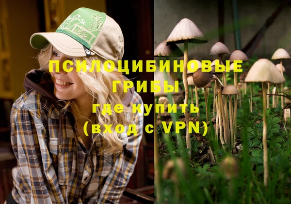 герыч Абаза