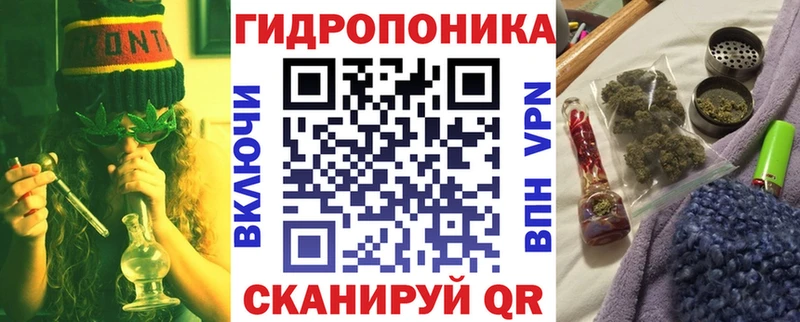 площадка наркотические препараты  Жердевка  Бошки Шишки сатива 